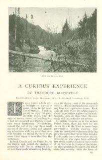 1916 Theodore Roosevelt Hunting Quebec St Anne River : Prints : Everything Else