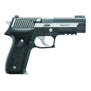 Sig Sauer P229 Handgun 422474