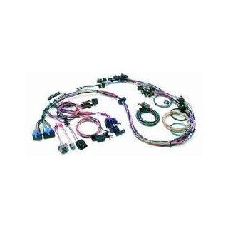 Painless Fuel Injection Wiring Harness for 1988   1993 Chevy S10 Blazer: Automotive