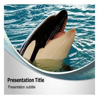 Killer Whale Powerpoint Templates   Killer Whale Powerpoint (PPT) Templates: Software
