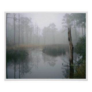 Florida Wetland, Navarre Poster