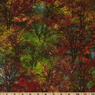 Marblehead Northern Woods Trees Orange/Red Fabric By The YD: