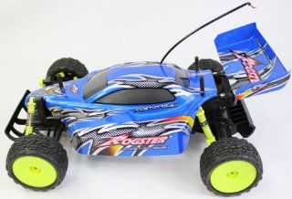 110 Scale Off Road Extreme Racing Buggy The Rogster Born To Race Electric RTR RC Buggy Remote Control BUGGY High Quality (Colors May Vary) Toys & Games