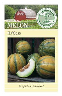 Seed Savers Exchange 1032 Organic, Open pollinated Melon Seed, Ha'Ogen, 25 Seed Packet (Discontinued by Manufacturer) : Fruit Plants : Patio, Lawn & Garden