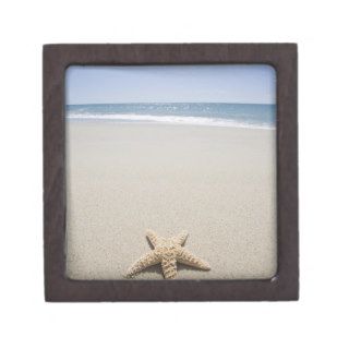 Starfish on beach by Atlantic Ocean Premium Jewelry Box