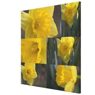 Golden Crown Narcissus (Daffodil) Photo Collage Gallery Wrap Canvas
