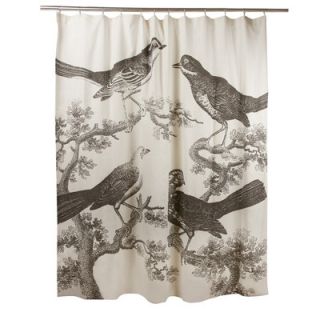 Thomas Paul Ornithology Shower Curtain 2414