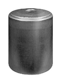 Hastings Filters FF836 Can Type Fuel Filter: Automotive