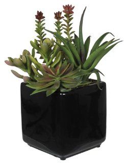 House of Silk Flowers Artificial Succulent Garden (B) in Black Cube Vase   Artificial Succulent Plants