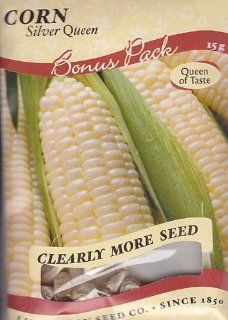 Silver Queen Corn Seeds   13 grams : Vegetable Plants : Patio, Lawn & Garden
