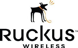 Ruckus Wireless 902 0166 0000 Mounting Bracket: Home Improvement