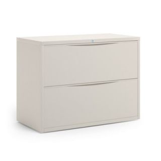 Mayline CSII 2 Drawer  File C841H Finish Mist