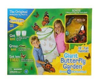GIANT BUTTERFLY GARDEN: Toys & Games