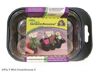 Jiffy 5709 Mini Greenhouse : Seed Starter Greenhouse : Patio, Lawn & Garden