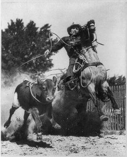 Photo: Cowboy roping calf, horseback, cowboy hat, fence, 1949?   Prints