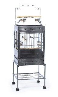 Super Pet EZ Care Bow Front Mini Playtop Cage for Small Birds with Mini Tool Box (fs) : Birdcages : Pet Supplies