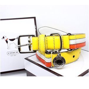 COACH Striped Multicolor Leather Collar with Engraveable Charm 60407 Limited Edition   Yellow/Orange/White, Large (17" 21") : Pet Fashion Collars : Pet Supplies