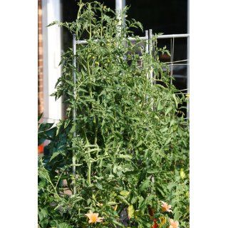 EarthBox 1010002 Garden Kit, Terra Cotta : Planters : Patio, Lawn & Garden