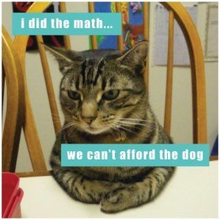 I Can Has Cheezburger I Did The Math Cat Refrigerator Magnet Kitchen & Dining