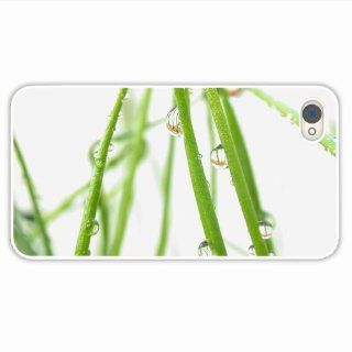 Custom Designer Apple Iphone 4 4S Macro Branch Drops Moisture Bright Light Of Husband Present White Cellphone Skin For Everyone: Cell Phones & Accessories