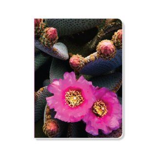 ECOeverywhere Cactus Flower Sketchbook, 160 Pages, 5.625 x 7.625 Inches (sk12297) : Storybook Sketch Pads : Office Products