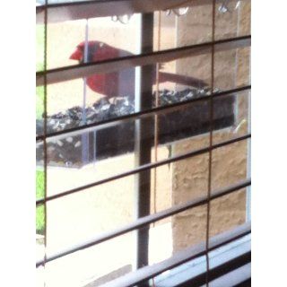 Duncraft 74201 Cardinal Classic Window Bird Feeder, 1 Quart : Wild Bird Feeders : Patio, Lawn & Garden