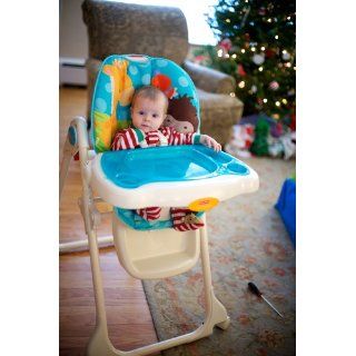 Fisher Price Precious Planet Sky Blue High Chair : Baby