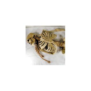 LIFE SIZE 5 Foot Rubber Skeleton with Noose around Neck   LOOKS REAL!: Industrial & Scientific