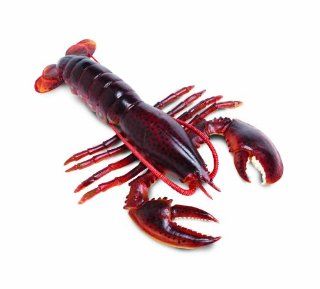 Safari Ltd  Incredible Creatures Maine Lobster: Toys & Games