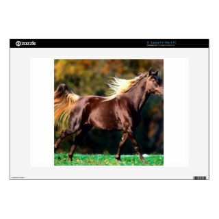 Horse Noble Locks Rocky Mountain Horse Laptop Decals