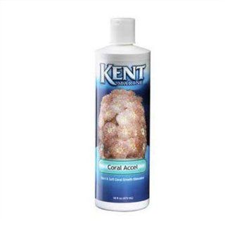 Kent Marine 00559 Coral Accel Hard and Soft Coral Growth Stimulator, 16 Ounce Bottle : Aquarium Treatments : Pet Supplies