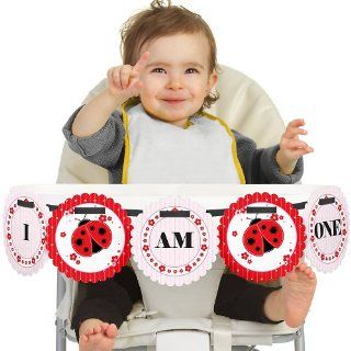 Modern Ladybug   High Chair Birthday Banners: Toys & Games