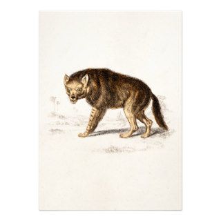 Vintage 1800s Hyena Dog   Hyenas Retro Template Custom Invitations