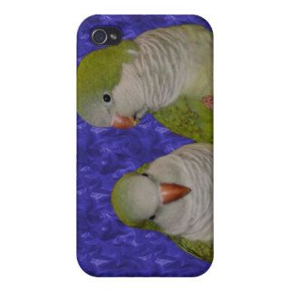 Baby Quaker Parrots Animal iPhone 4 Speck Case iPhone 4/4S Case