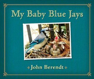 My Baby Blue Jays: John Berendt: 9780670012909:  Kids' Books