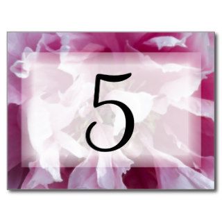 Pink Peony Table Numbers Post Cards