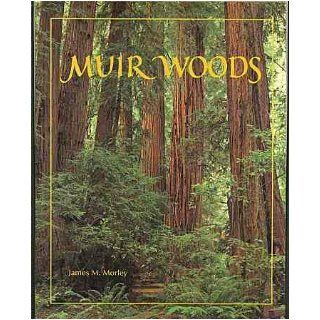 Muir Woods: The Ancient Redwood Forest Near San Francisco: James M. Morley: 9780938765530: Books