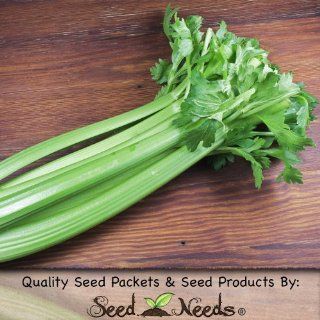 200 Seeds, Celery "Utah 52 70" (Apium graveolens) Seeds By Seed Needs : Vegetable Plants : Patio, Lawn & Garden