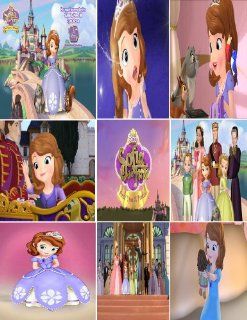Disney Junior Sofia the First Once Upon a Princess Stickers: Everything Else