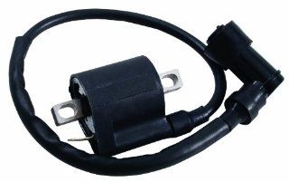 Outside Distributing 08 0301 NB Ignition Coil: Automotive