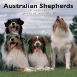 Australian Shepherds 2010 Calendar General