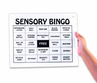 Sensory Bingo: Toys & Games