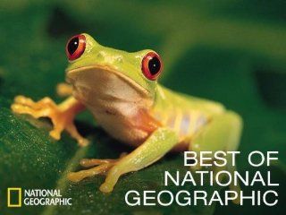 Best of National Geographic: Season 1, Episode 1 "30 Years of National Geographic Specials":  Instant Video