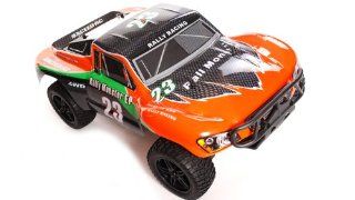 BRUSHLESS 1/10 2.4Ghz Exceed RC Electric Rally Monster RTR Off Road Rally Car COLOR VARIES  SENT AT RANDOM: Everything Else