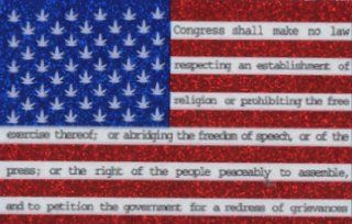 United States of America Flag with Pot Leaves "Congress Shall Make No Law"   Sticker / Decal: Automotive