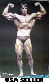 Arnold Schwarzenegger Bodybuilding Poster Front View 23.5 x 34 As He Looked in 1970s (sent FROM USA in PVC pipe) : Prints : Everything Else