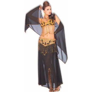 Women Std (6 12) Sexy Harem Girl Costume (bra top slightly diff than pictured): Adult Exotic Costumes: Clothing