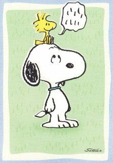 Greeting Card Get Well Peanuts "Lllllllll" That's Bird Talk for Hope You Get Well Soon: Health & Personal Care