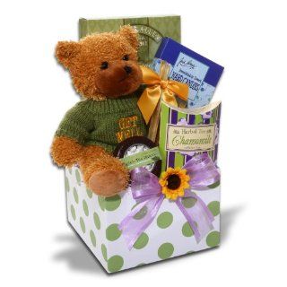 Organic Stores Gift Baskets Get Well Gift Set, Feel Better Soon : Gourmet Snacks And Hors Doeuvres Gifts : Grocery & Gourmet Food
