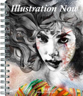 Illustration Now! Diary 2013 (Taschen Diaries): Benedikt Taschen: Bücher